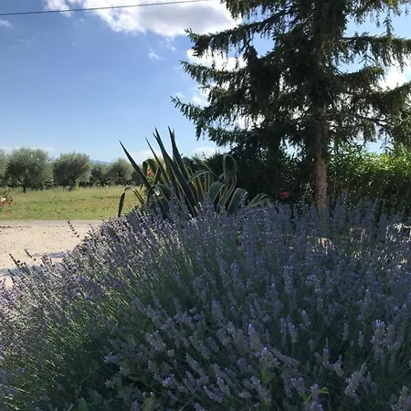 Bed & Breakfast Casa Gavenniae *