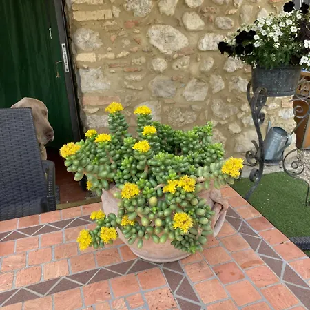 Casa Gavenniae Bed & Breakfast