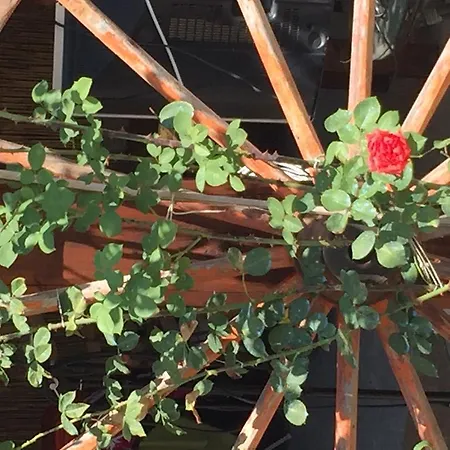 Bed & Breakfast Casa Gavenniae Nocciano