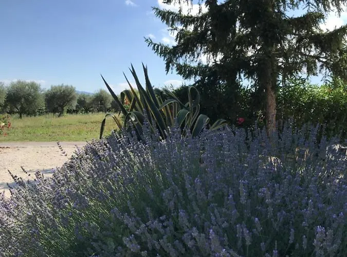 Bed and breakfast Casa Gavenniae 3*