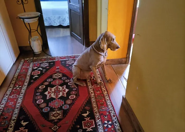 Casa Gavenniae Bed and breakfast 3*