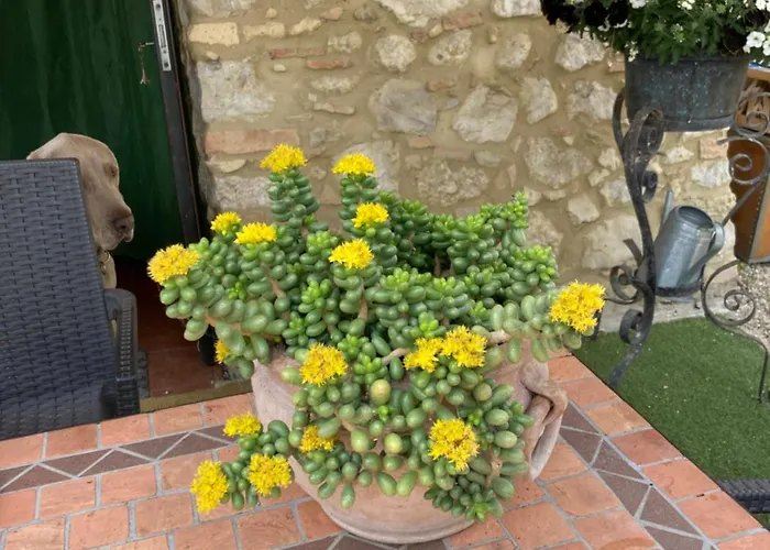 Casa Gavenniae Bed and breakfast