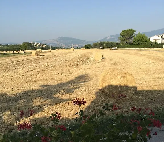 Casa Gavenniae Bed and breakfast 3*