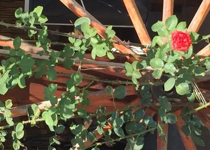 Bed and breakfast Casa Gavenniae Nocciano